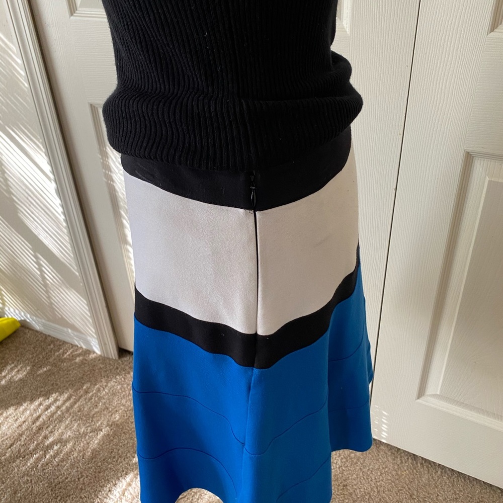 Express Color Block Skirt - image 3